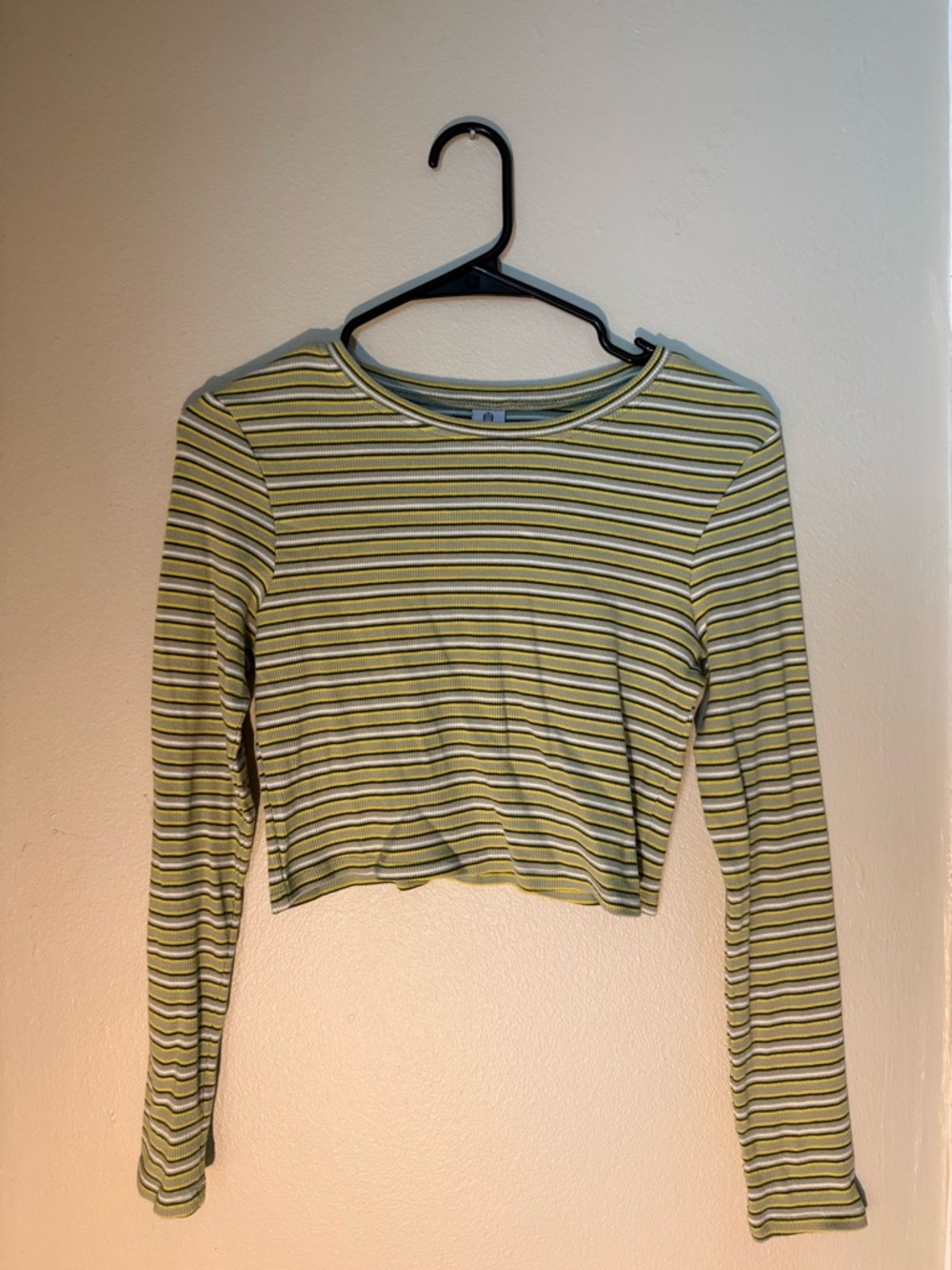 Zumiez Zine Clothing Cropped Long-Sleeve Top - Green